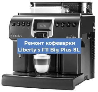 Чистка кофемашины Liberty's F11 Big Plus 8L от кофейных масел в Екатеринбурге